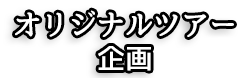 オリジナルツアーの企画